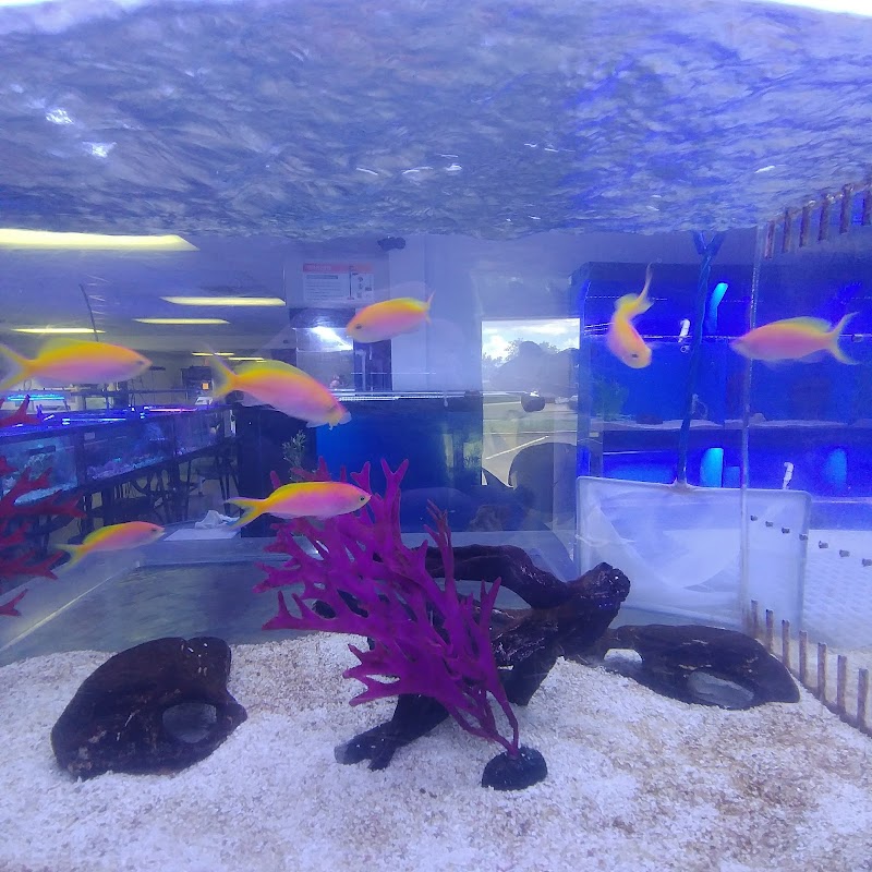 Orange Park Aquatics - Photo 5