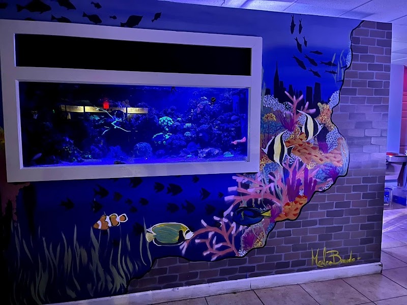 Aquatic City Aquariums - Photo 3