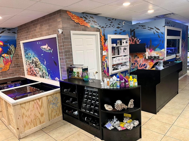 Aquatic City Aquariums - Photo 4