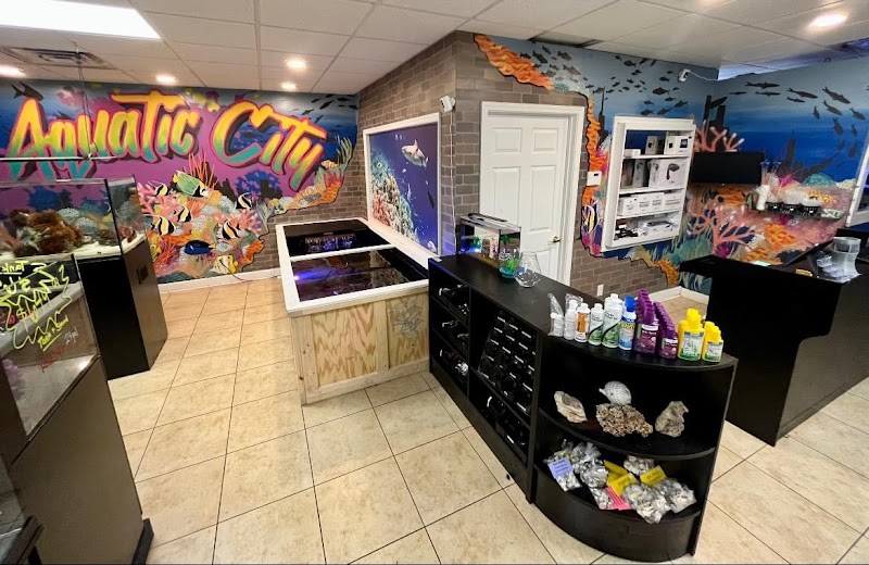 Aquatic City Aquariums - Photo 5