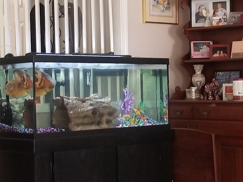 Reef Scapes - Photo 1