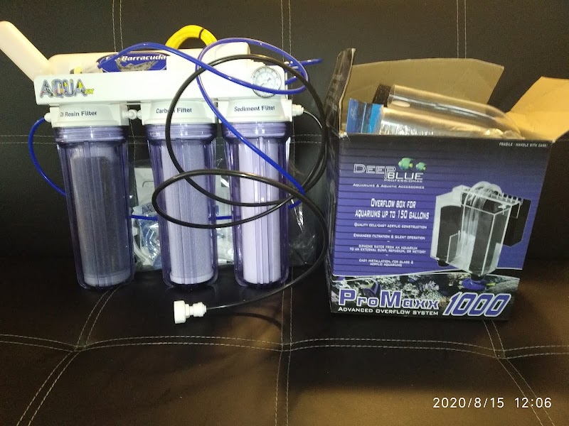 Reef Scapes - Photo 3