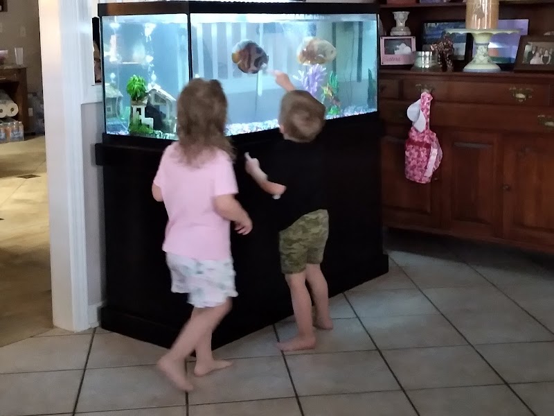 Reef Scapes - Photo 4