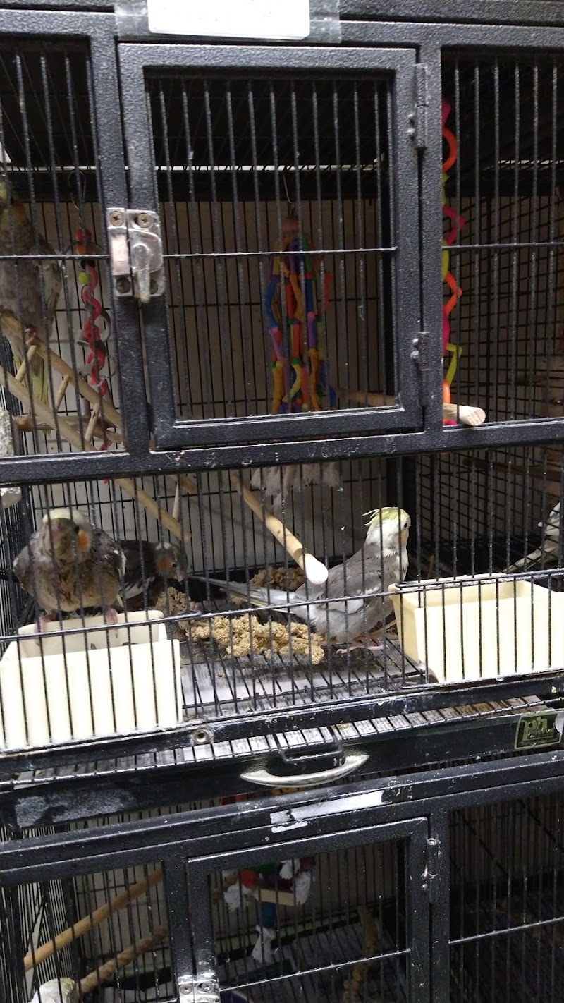 Keys Kritters - Photo 2