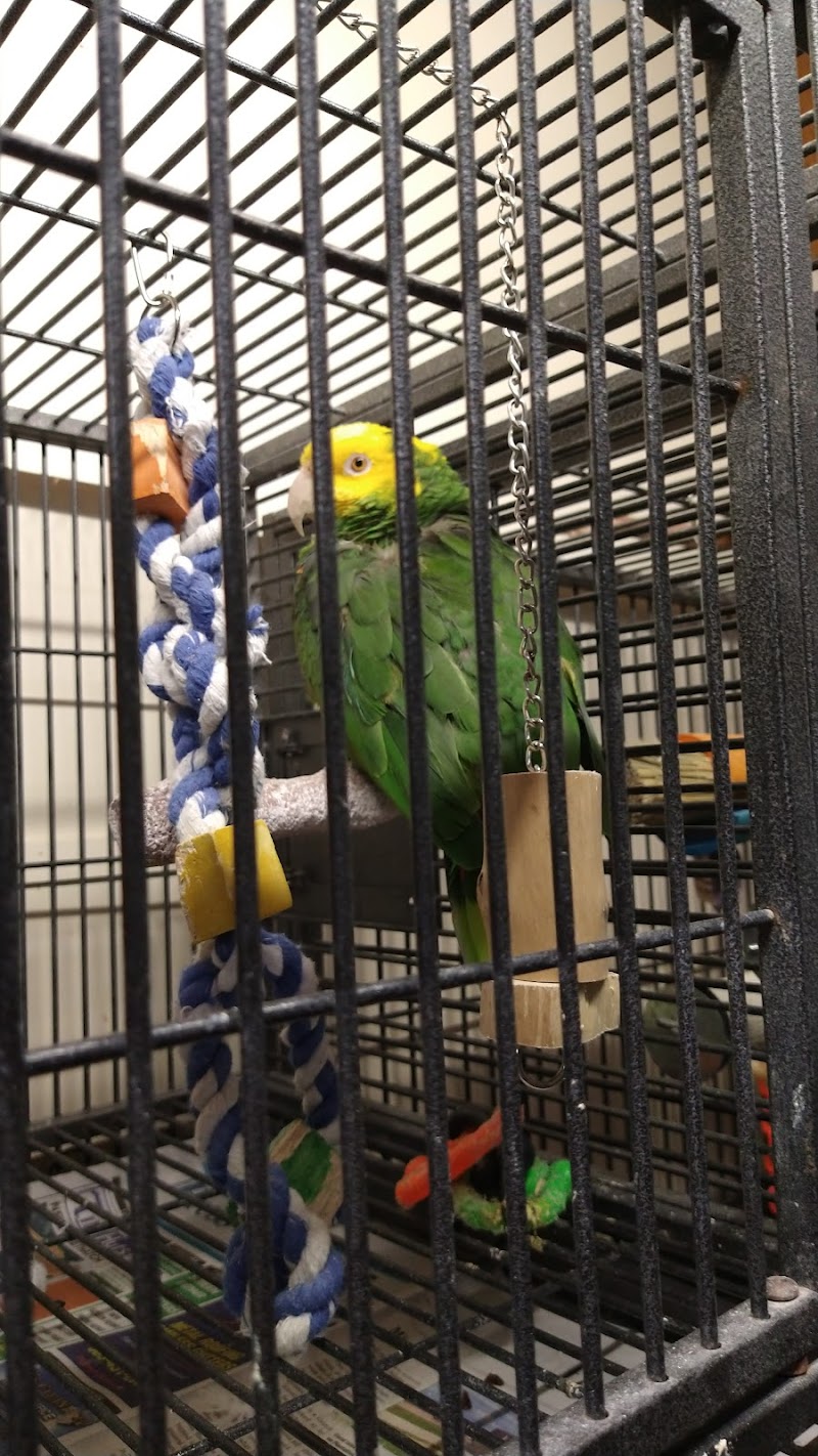 Keys Kritters - Photo 4