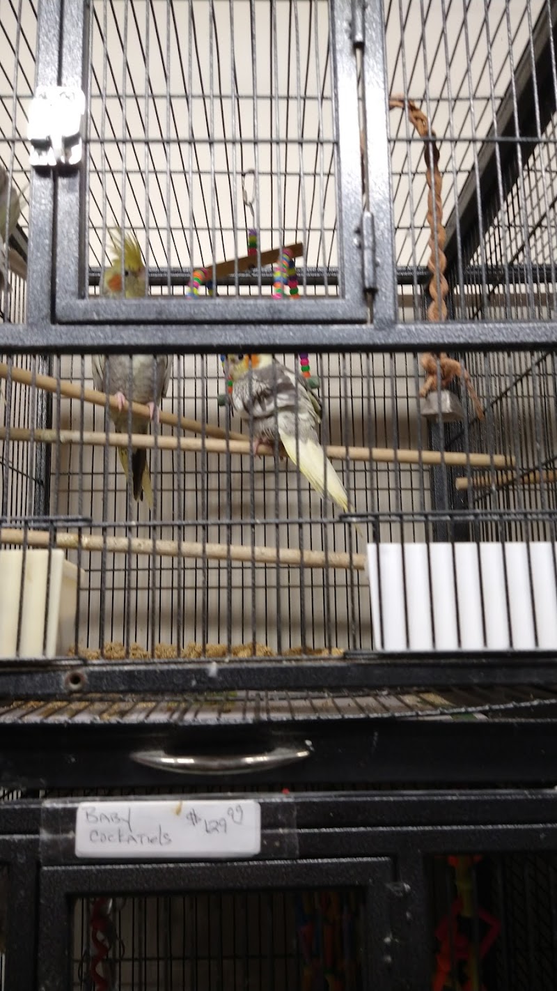 Keys Kritters - Photo 5