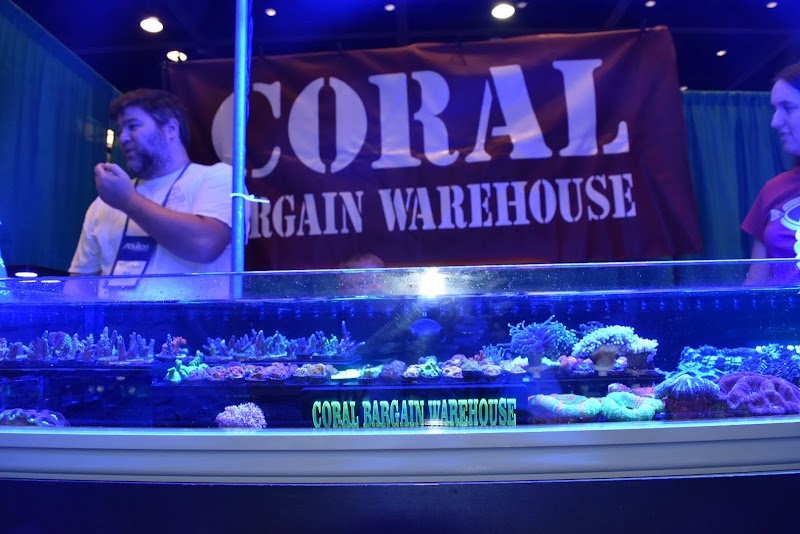 Coral Bargain Warehouse - Photo 1