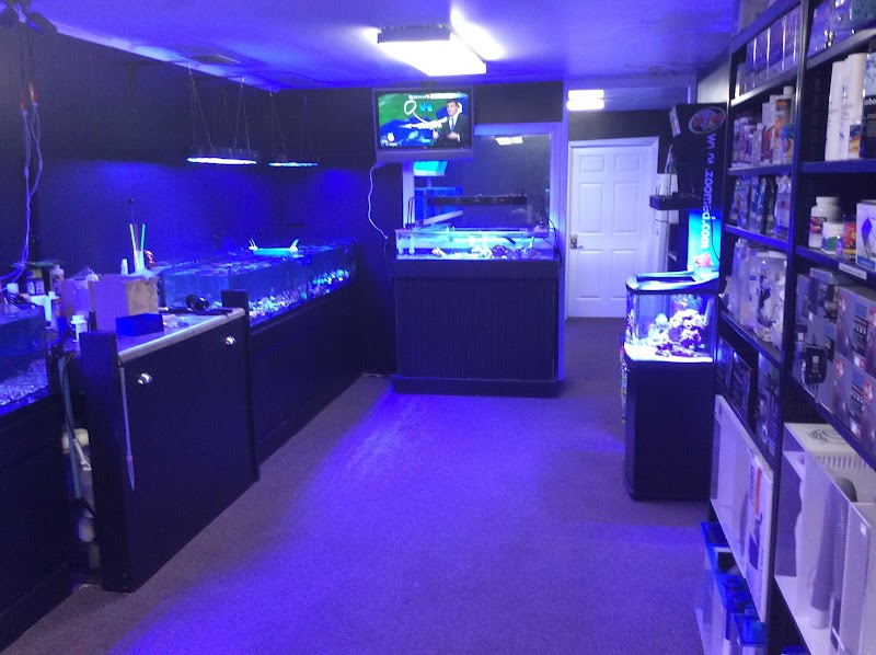 Coral Bargain Warehouse - Photo 4