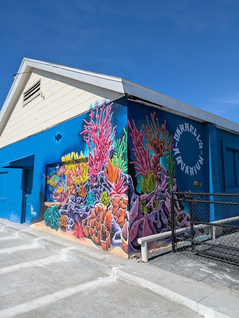 Darrell's Aquarium - Photo 1