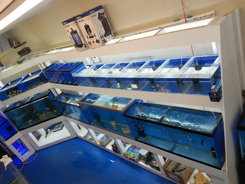 Darrell's Aquarium - Photo 3