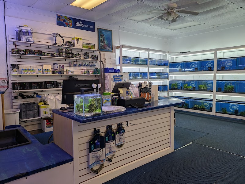 Darrell's Aquarium - Photo 5