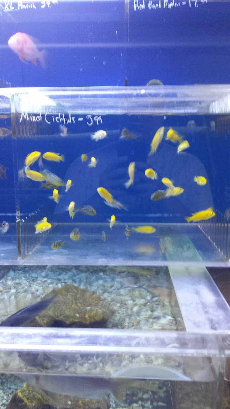 The Aquarium & Fish Store - Photo 2