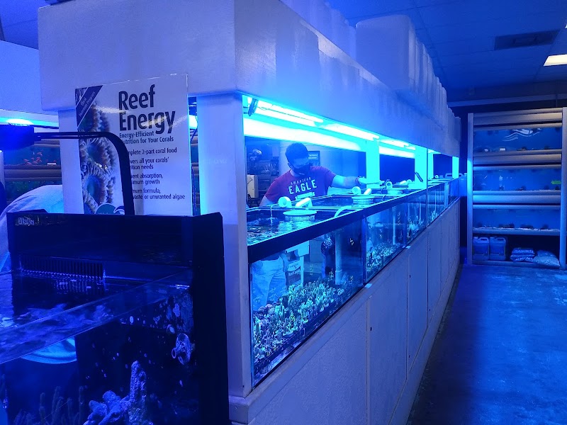The Aquarium & Fish Store - Photo 4
