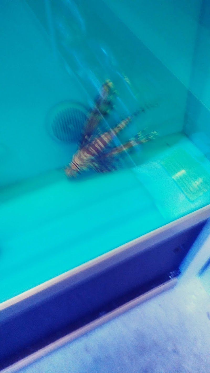 The Aquarium & Fish Store - Photo 5