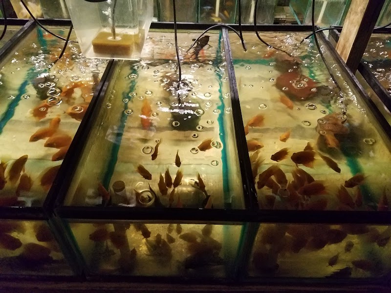 Tide & Stream Aquatics - Photo 1