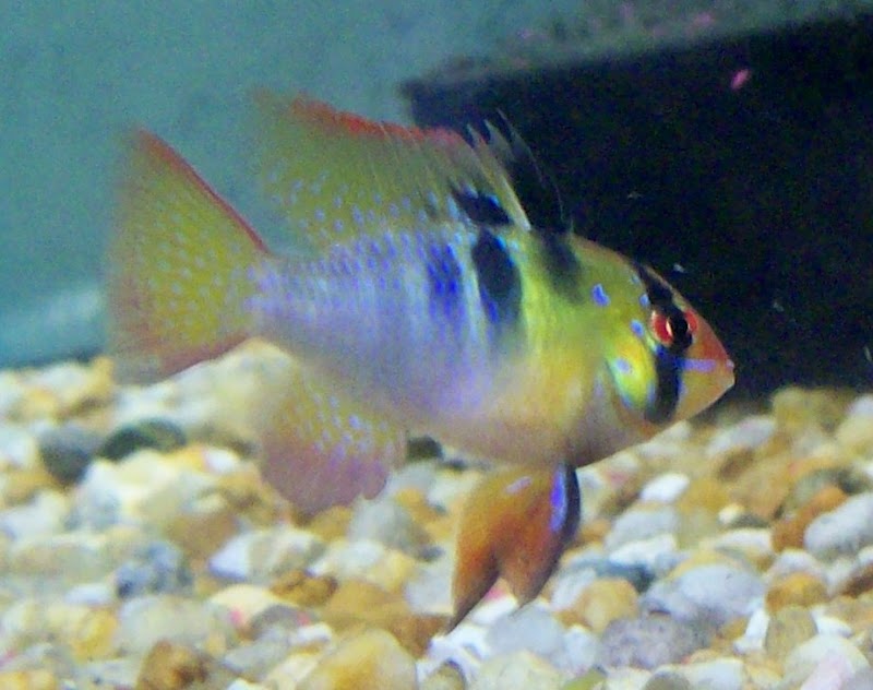 Tide & Stream Aquatics - Photo 2