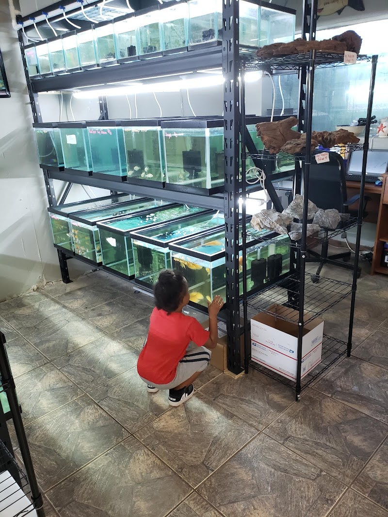 Tide & Stream Aquatics - Photo 3