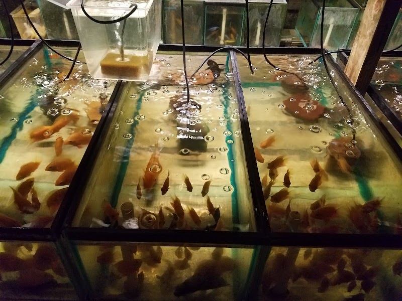 Tide & Stream Aquatics - Photo 4