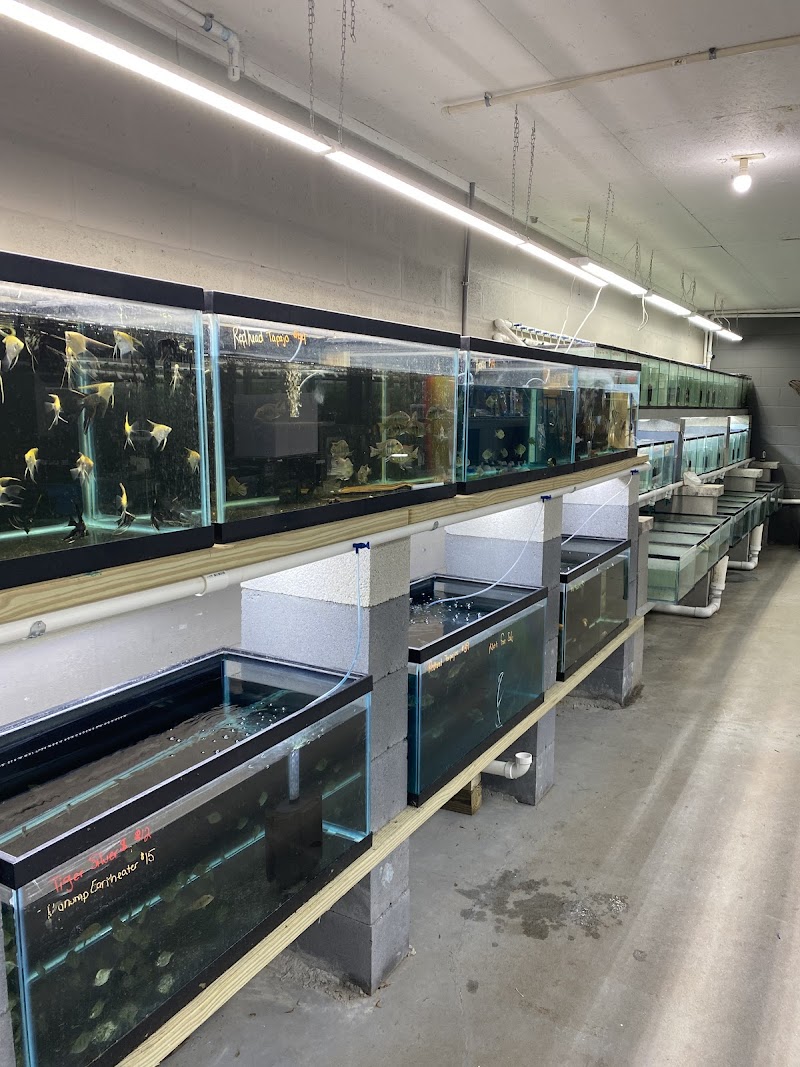 Tide & Stream Aquatics - Photo 5