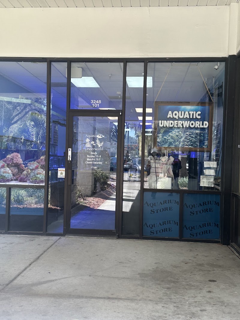 Aquatic Underworld - Photo 1