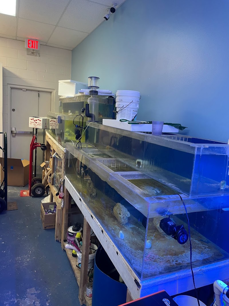 Aquatic Underworld - Photo 3