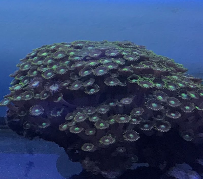 Aquatic Underworld - Photo 5