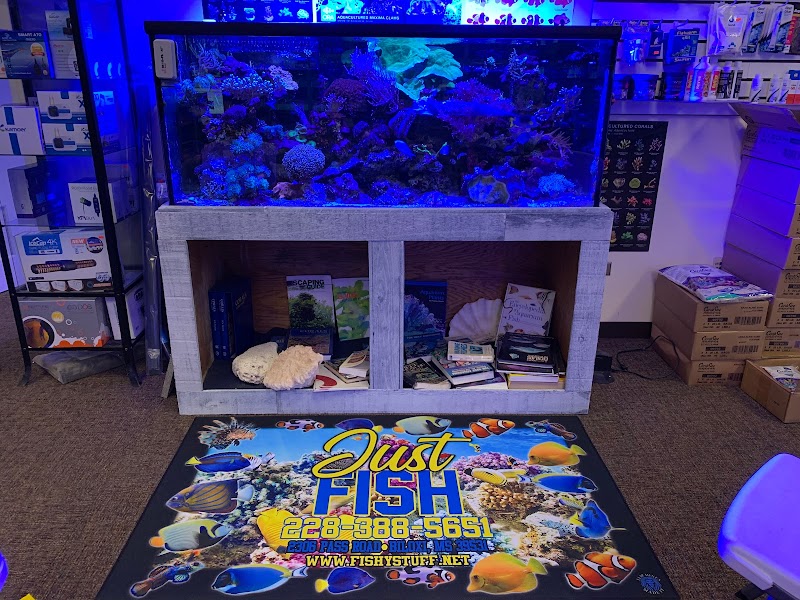 Just Fish LLC - Photo 5