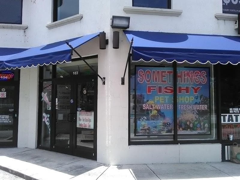 Something's Fishy - Photo 1