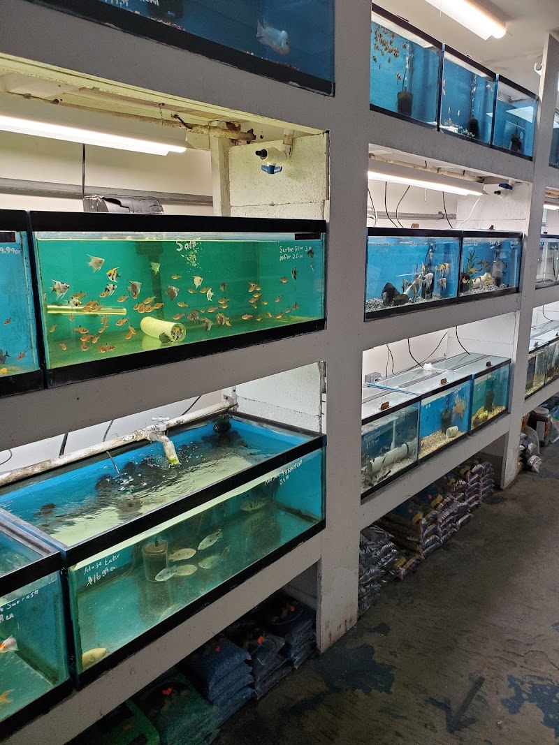 Something's Fishy - Photo 2