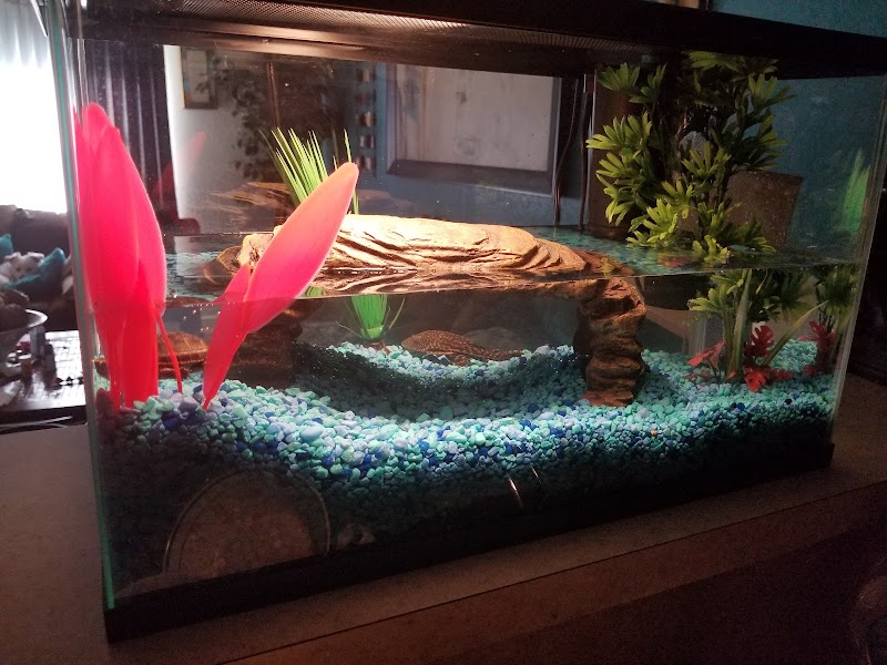 Something's Fishy - Photo 3