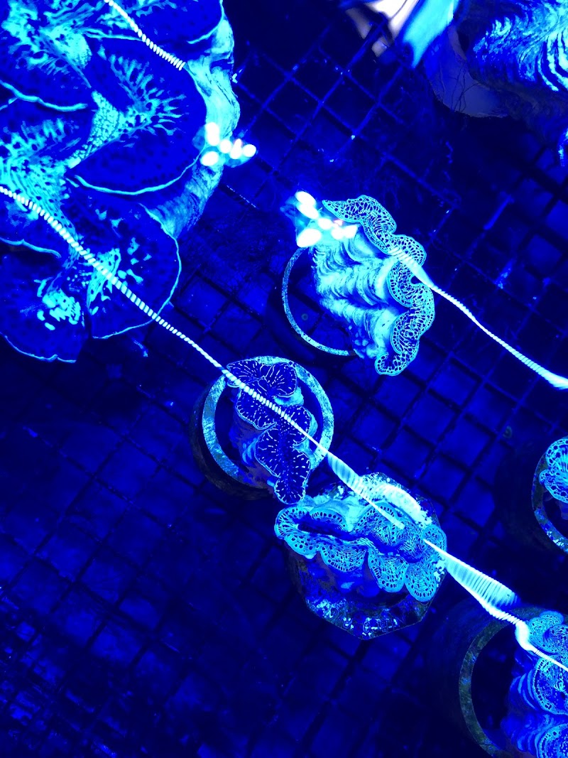 Something's Fishy - Photo 4