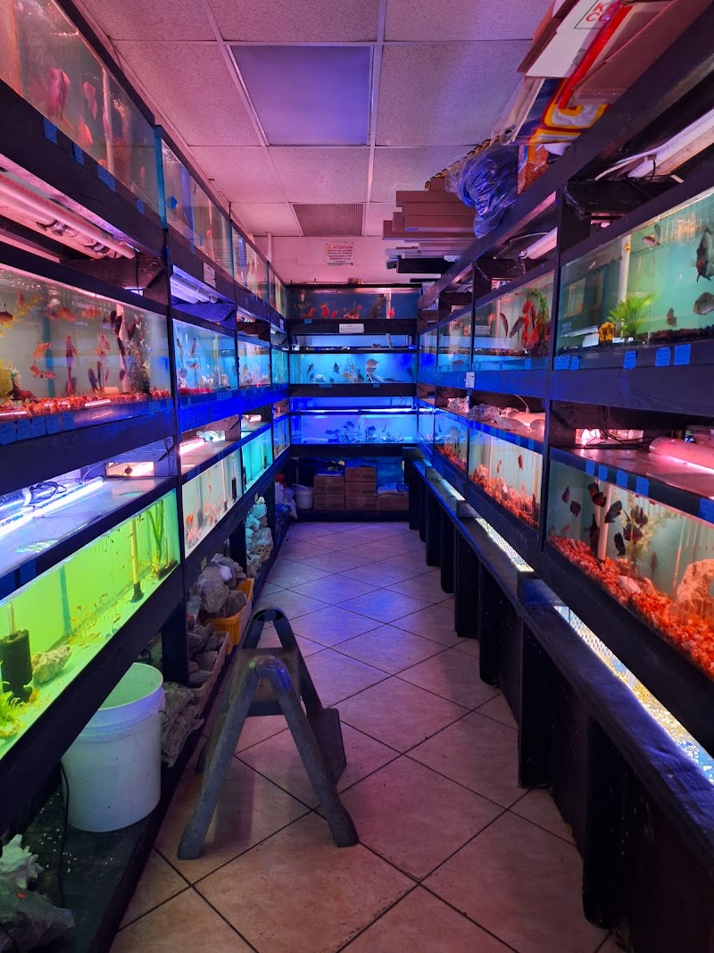 Reef Lounge Miami - Photo 2