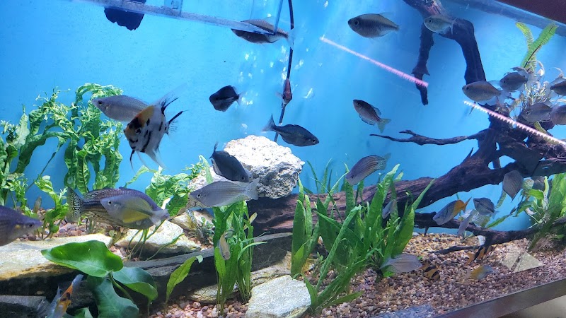 Reef Lounge Miami - Photo 4