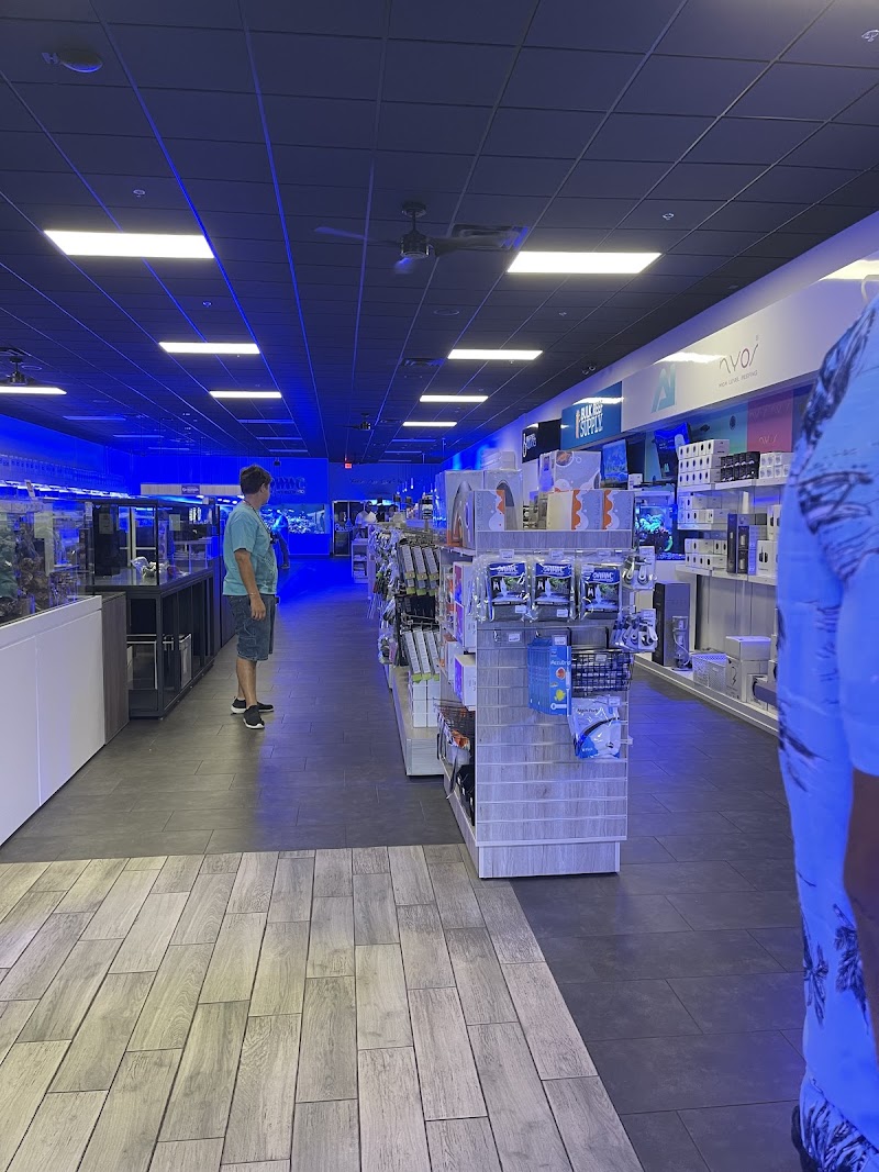 World Wide Corals - Photo 2