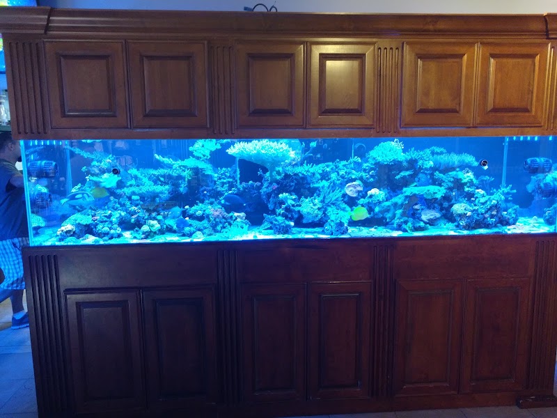 World Wide Corals - Photo 4