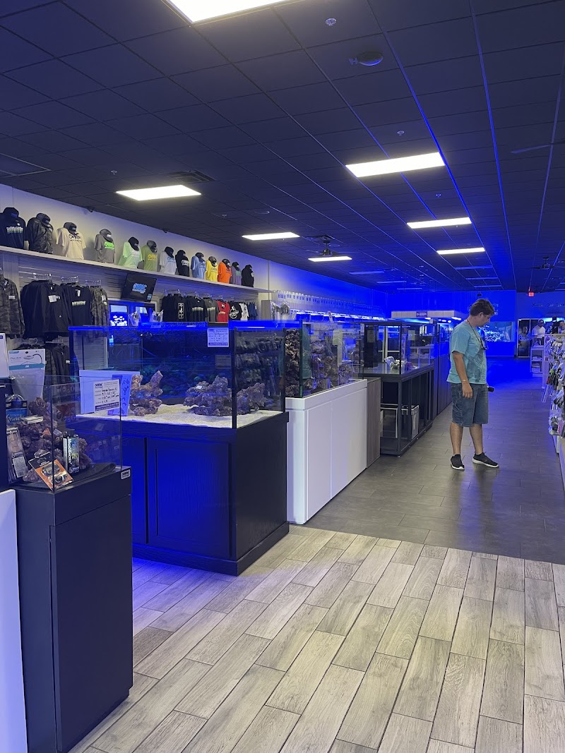 World Wide Corals - Photo 5