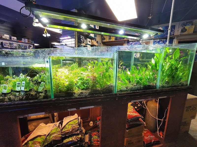 Nahacky's Aquarium - Photo 2