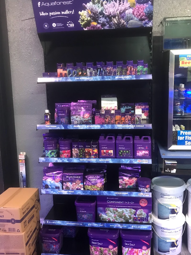 The Mad Reefer - Photo 2