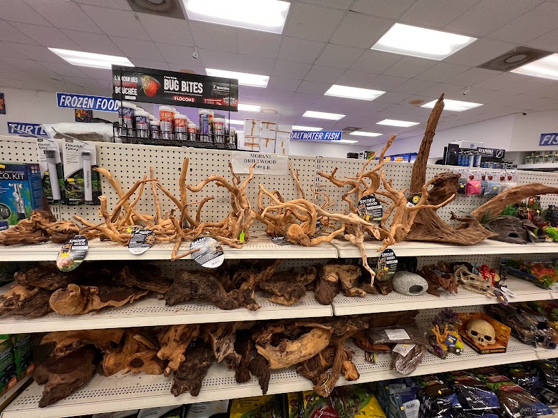 Aqua Mart Aquariums - Photo 3