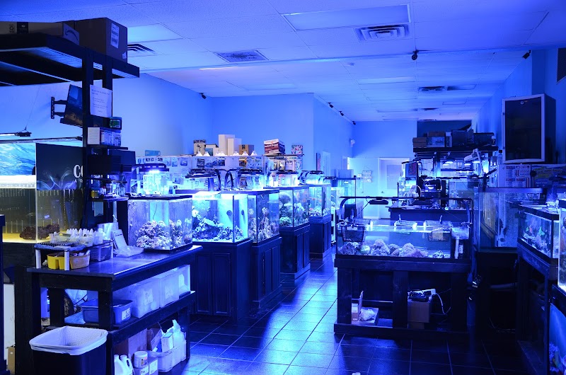Bluewater Reef Aquatics, Inc. - Photo 3