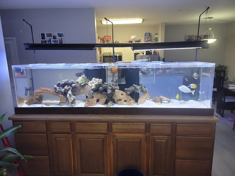 The Fish Tank - Photo 3