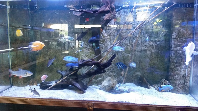 Poseidon Aquarium - Photo 3