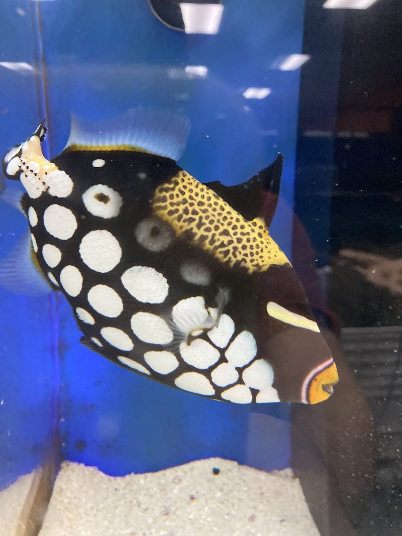 Poseidon Aquarium - Photo 4