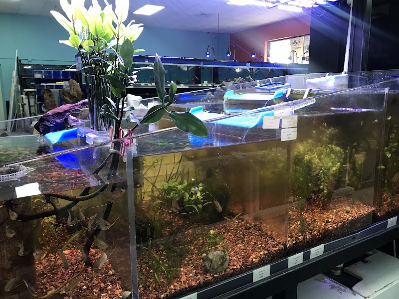 Poseidon Aquarium - Photo 5