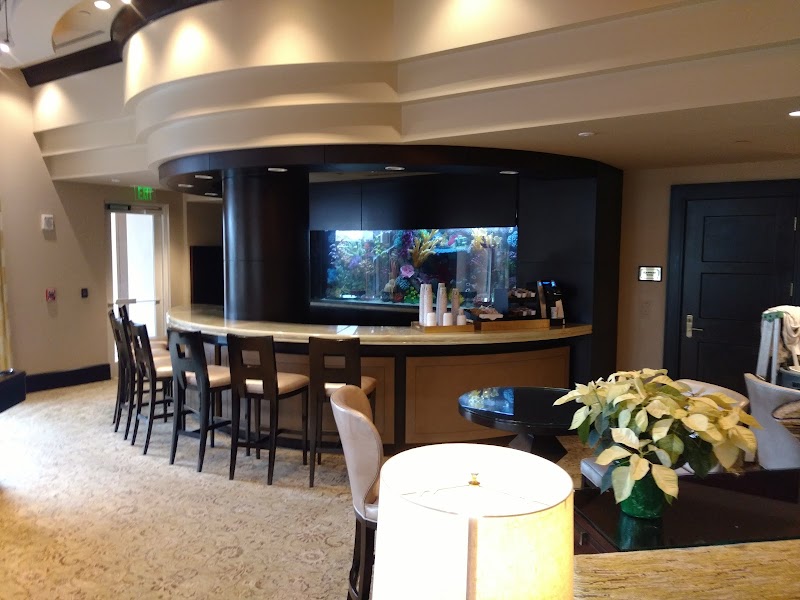 Champion Aquariums - Photo 3