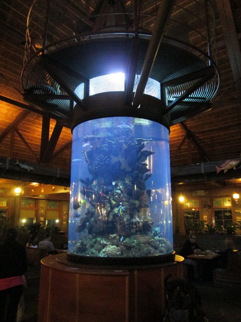 Champion Aquariums - Photo 4