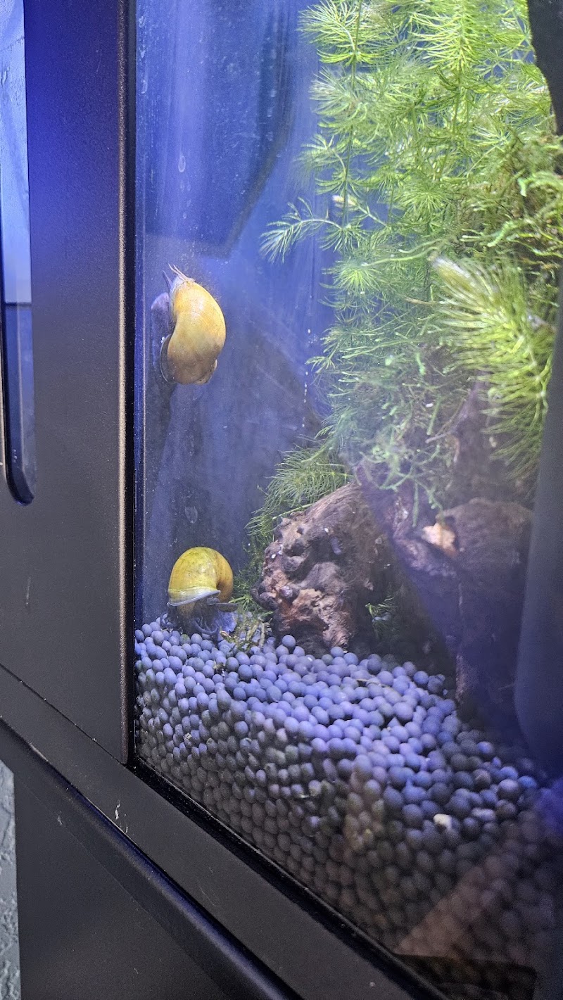 Rainbow River Aquatics - Photo 5