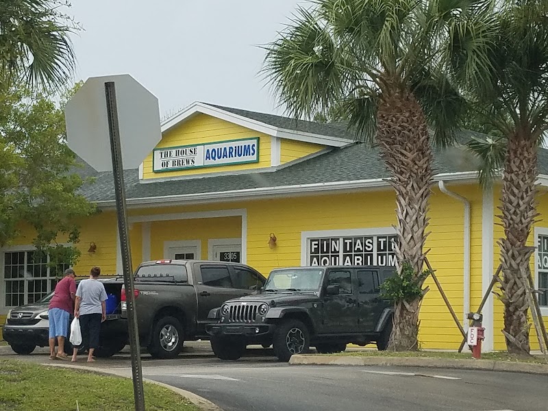 Fintastic Aquariums Jensen - Photo 1