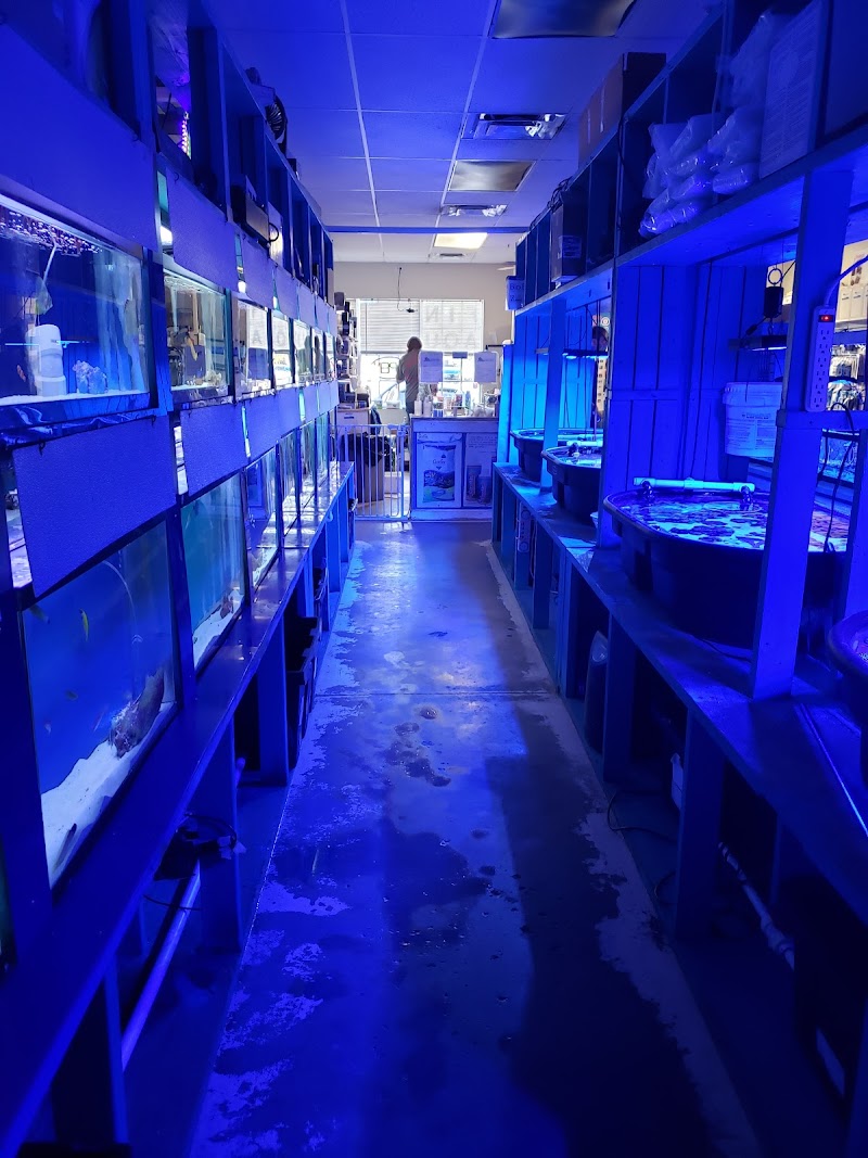 Fintastic Aquariums Jensen - Photo 2