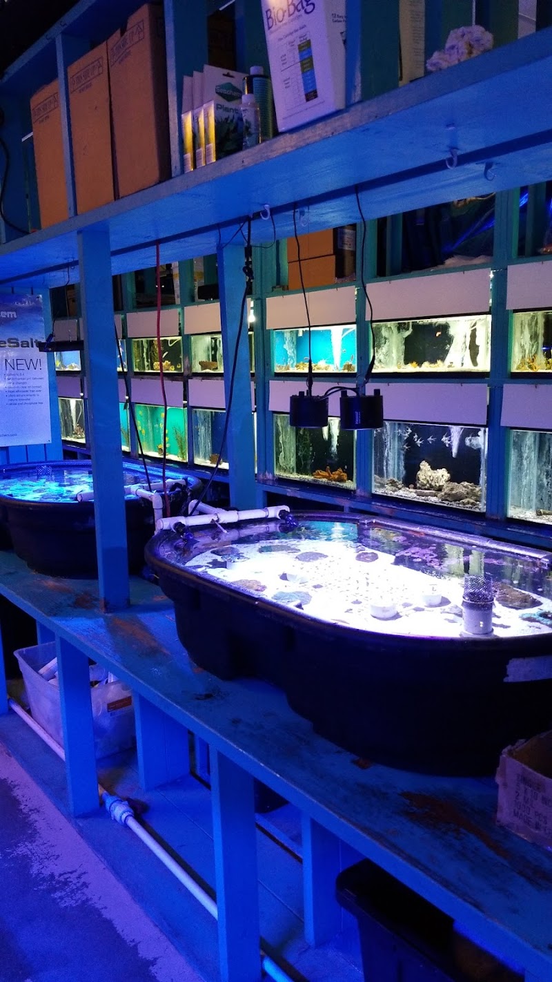 Fintastic Aquariums Jensen - Photo 5